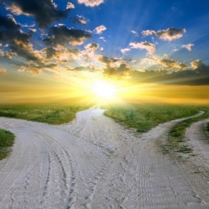 A fork in the road