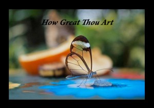 How Great Thou Art - Butterfly