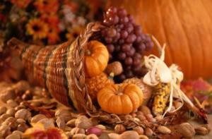 Still Life of Thanksgiving Harvest