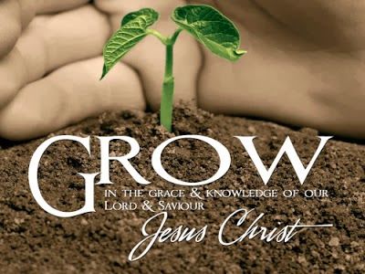 grow in grace