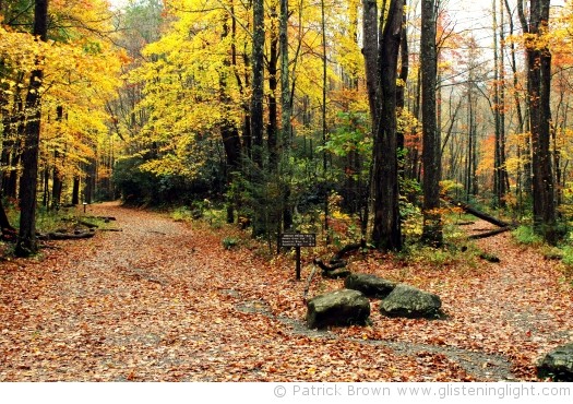 The broad and Narrow way