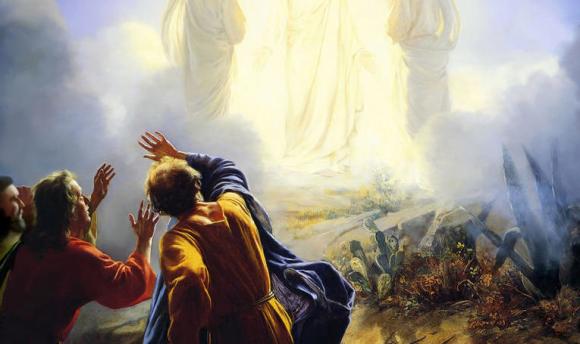 The Transfiguration