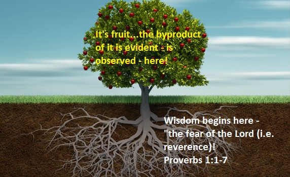 Fruit of Wisdom - Tree