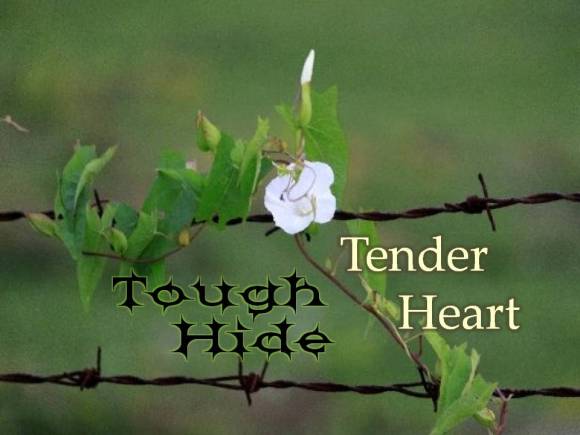 tough-hide-tender-heart