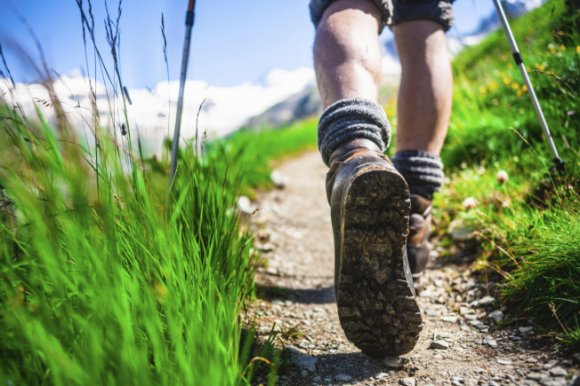 the-adventure-begins