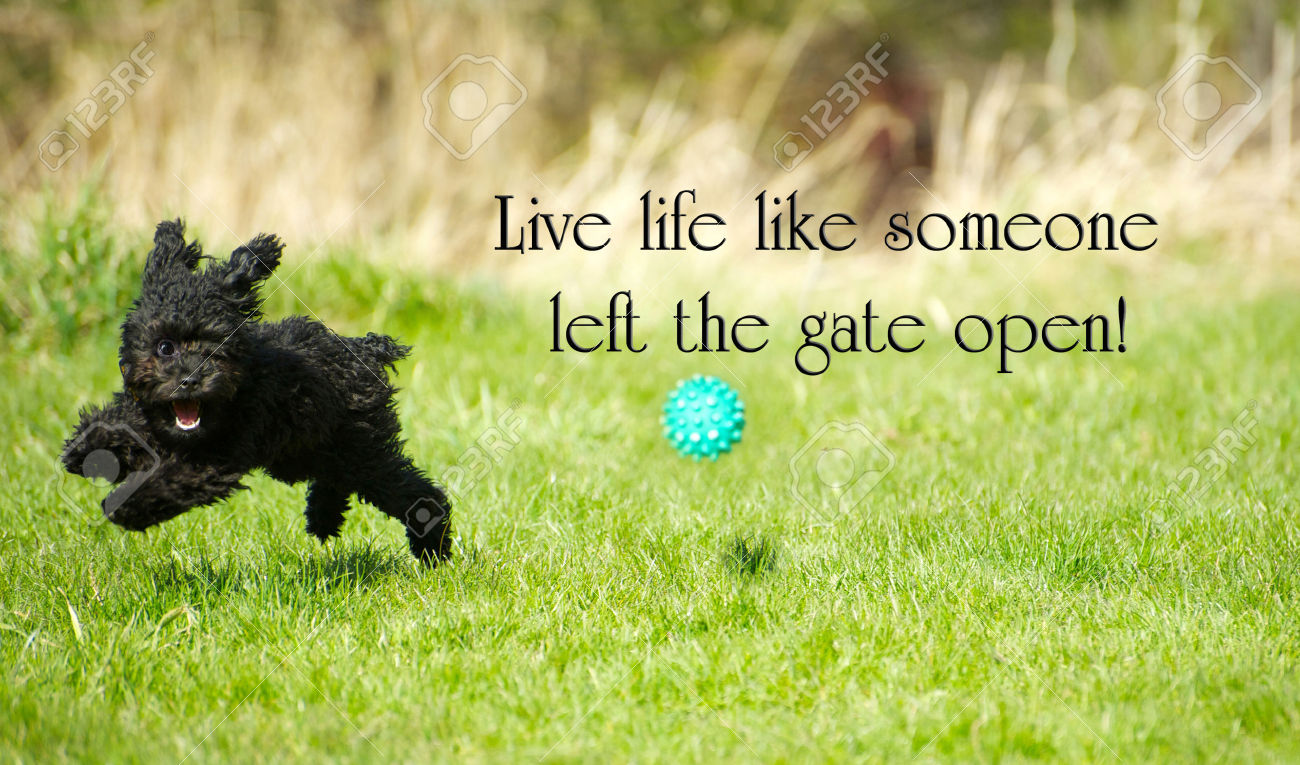 Life Left Live life like someone left the gate open! | Coffee With The Lord