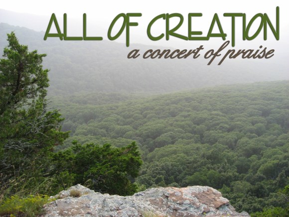 All of Creation - a concert of praise