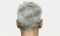 Gray hair1
