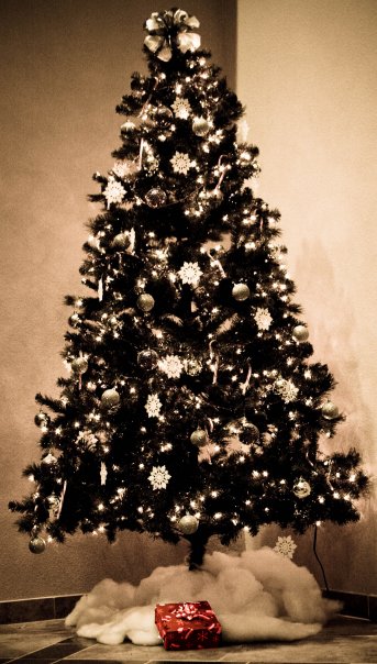 Philippians 4[11-13 Christmas