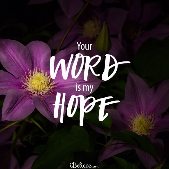 Your word my hope